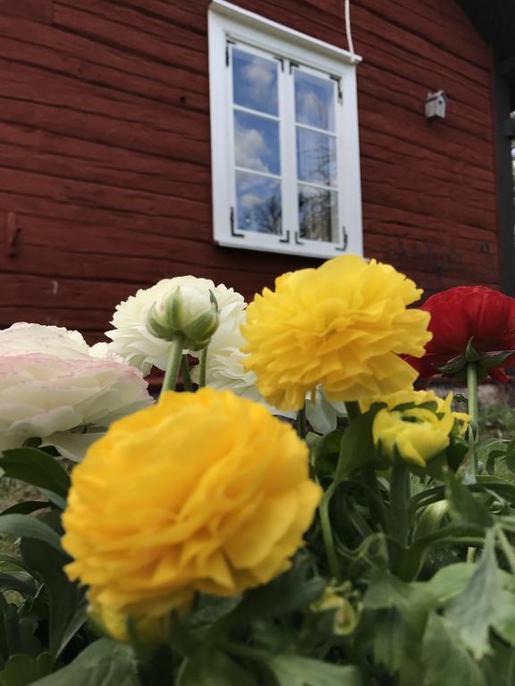 Visingsö Pensionat Bagian luar foto