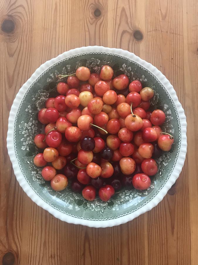 Visingsö Pensionat Bagian luar foto